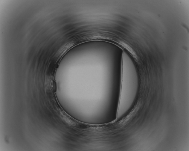 X0000092320793200709141049