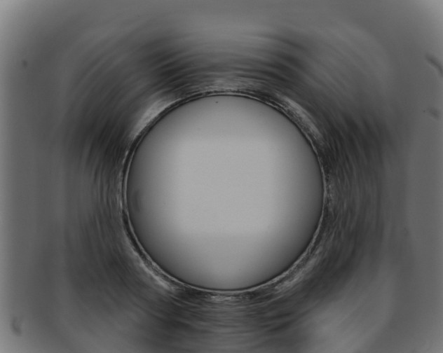 X0000092320794200709141049