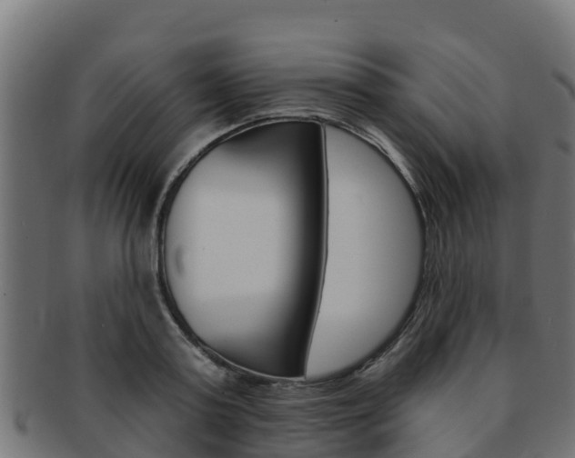 X0000092320795200709141049