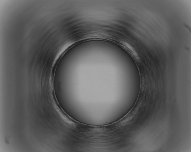 X0000092320796200709141049