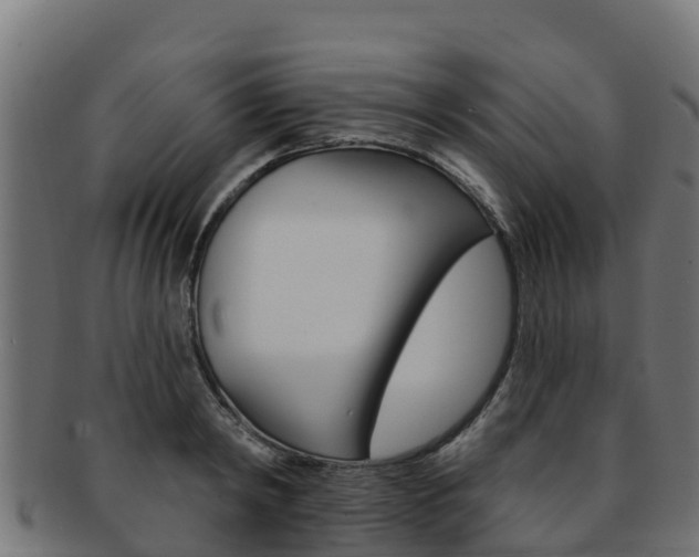 X0000092320798200709141049