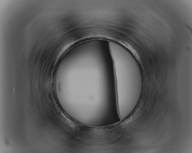 X0000092320799200709141049