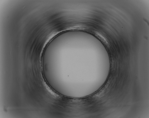 X0000092320800200709141049