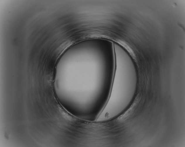 X0000092320801200709141049