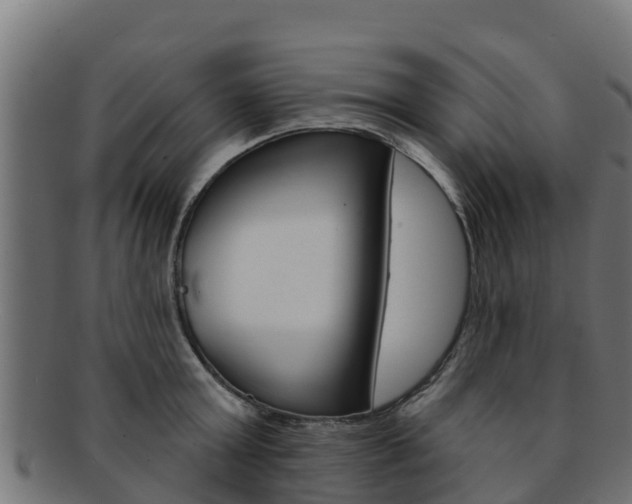 X0000092320803200709141049