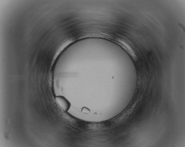 X0000092320804200709141049