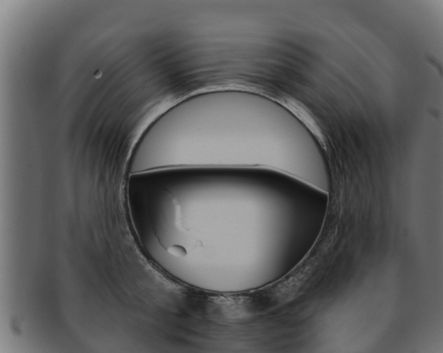 X0000092320805200709141049