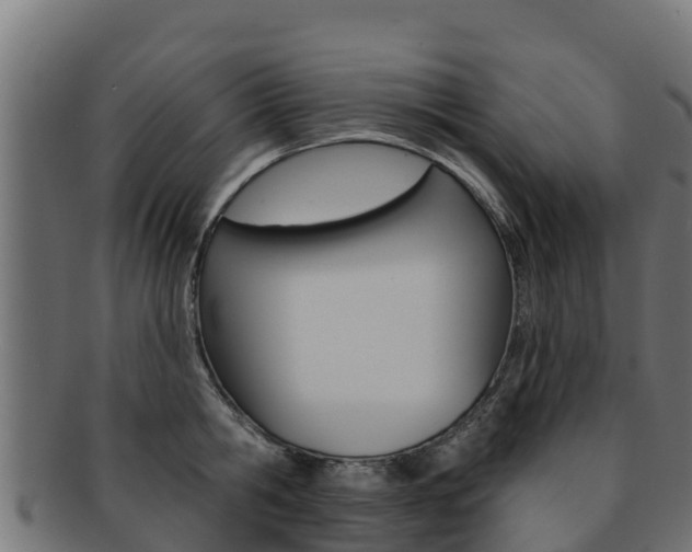 X0000092320806200709141049