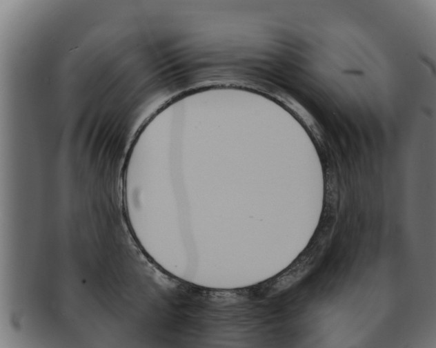 X0000092320807200709141049