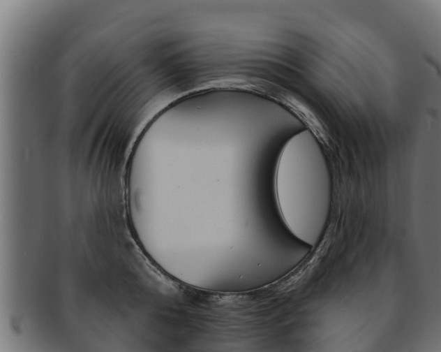 X0000092320808200709141049