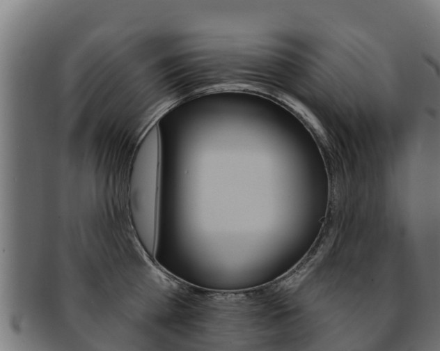 X0000092320809200709141049