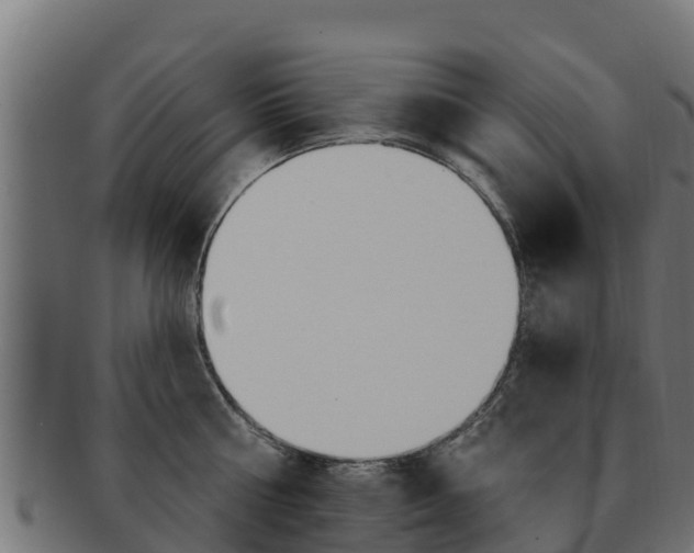 X0000092320810200709141049
