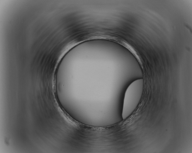 X0000092320811200709141049