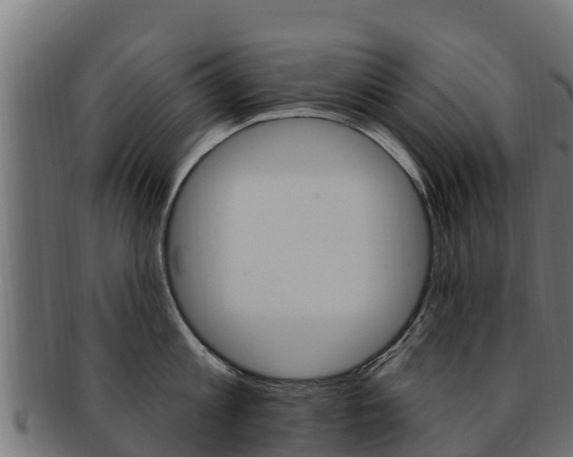 X0000092320813200709141049