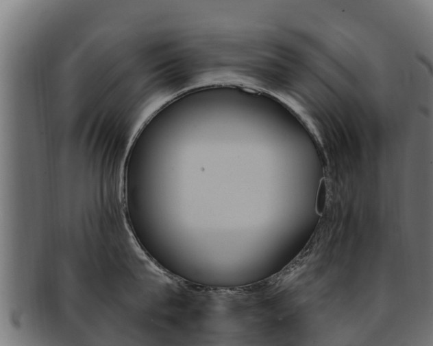 X0000092320815200709141049