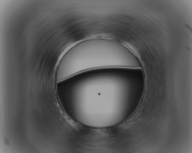 X0000092320816200709141049