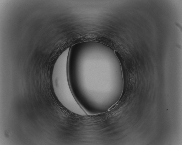 X0000092320818200709141049