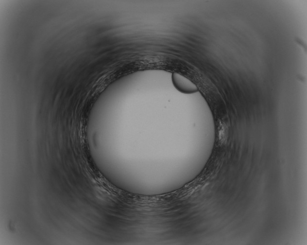 X0000092320819200709141049