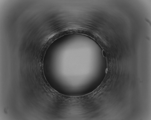X0000092320822200709141049