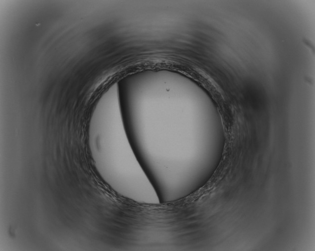 X0000092320823200709141049