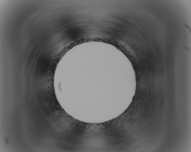 X0000092320824200709141049