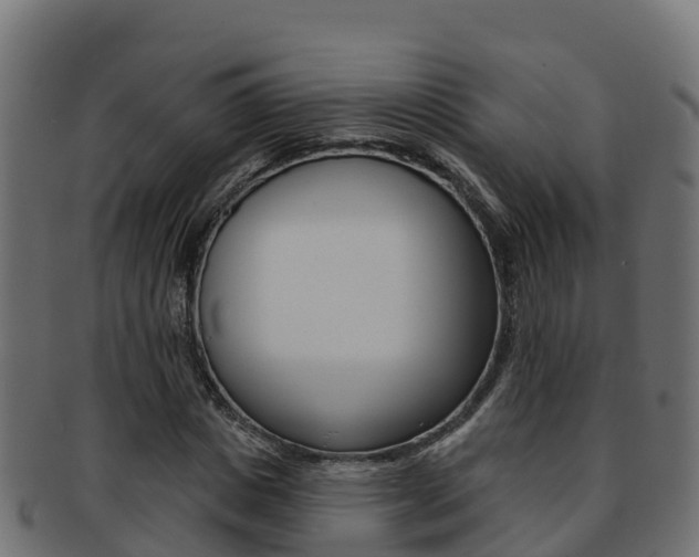 X0000092320825200709141049