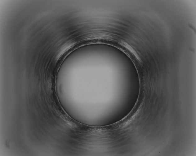 X0000092320826200709141049