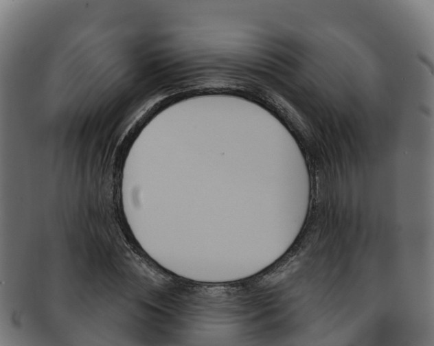 X0000092320828200709141049