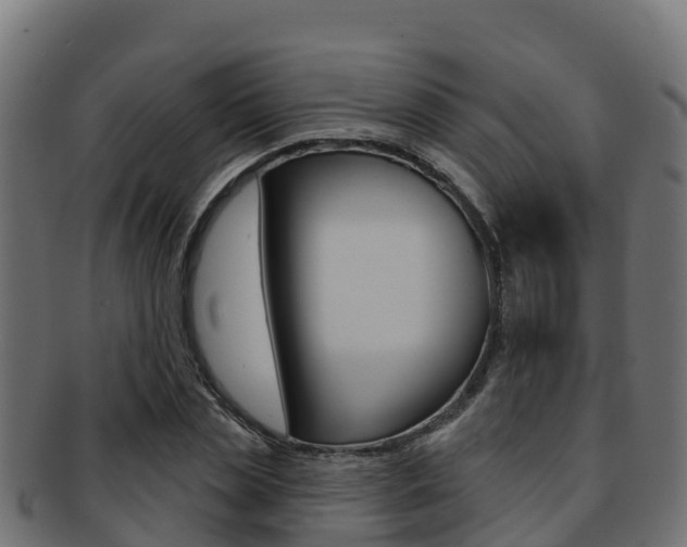 X0000092320829200709141049
