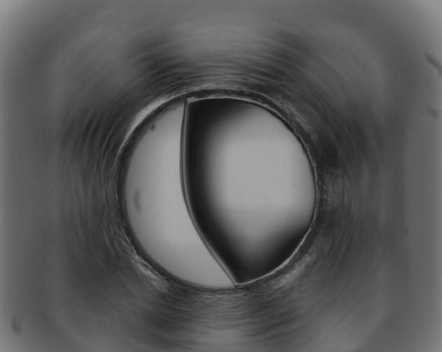 X0000092320830200709141049