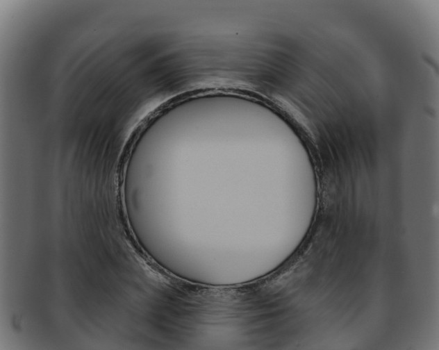 X0000092320831200709141049