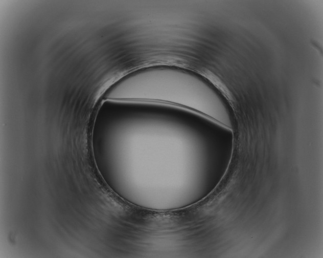 X0000092320834200709141049