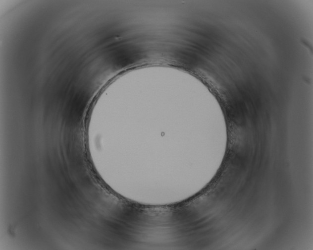 X0000092320836200709141049