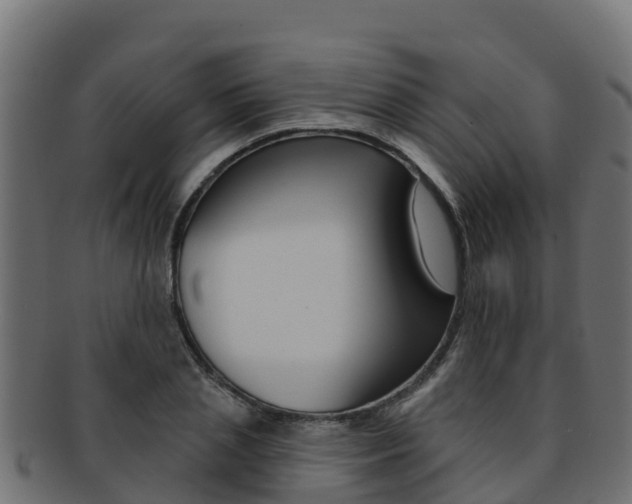 X0000092320837200709141049