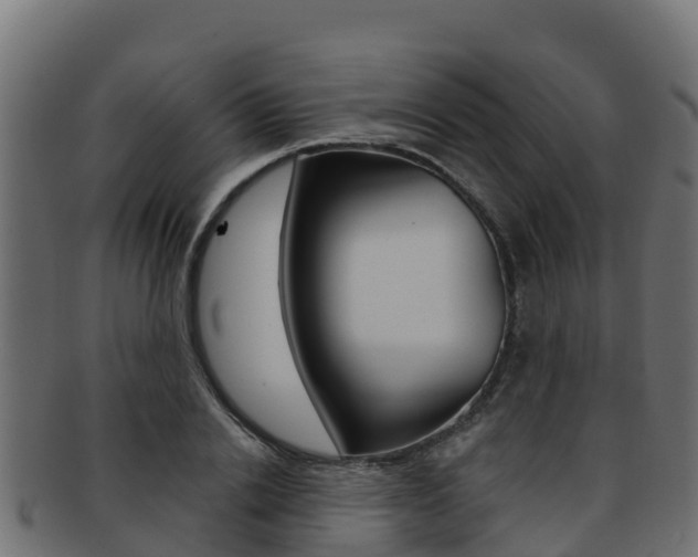 X0000092320838200709141049