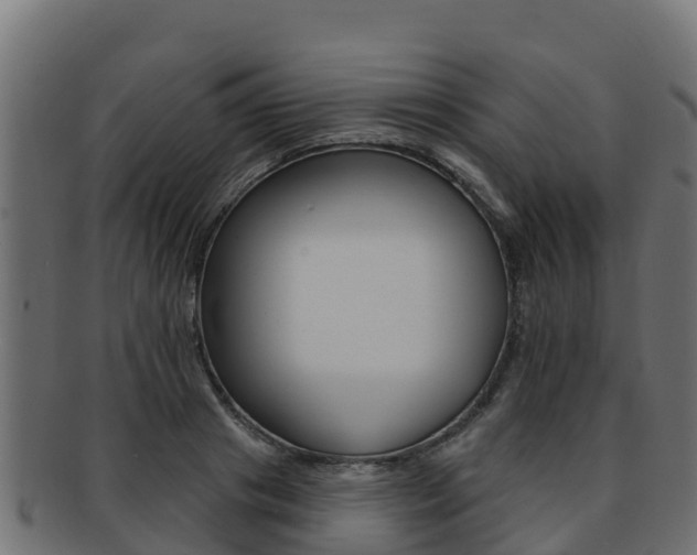 X0000092320841200709141049