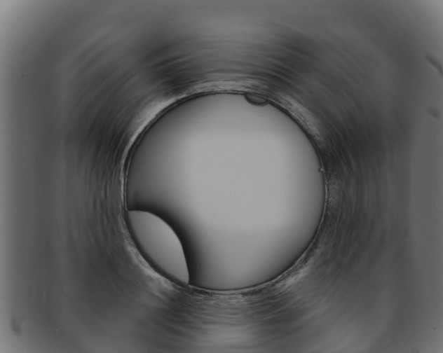 X0000092320844200709141049