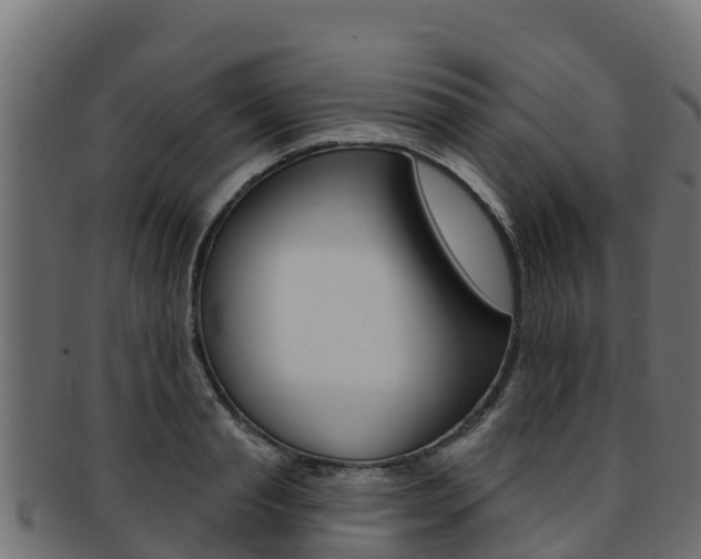 X0000092320845200709141049