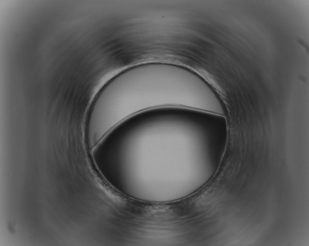 X0000092320846200709141049