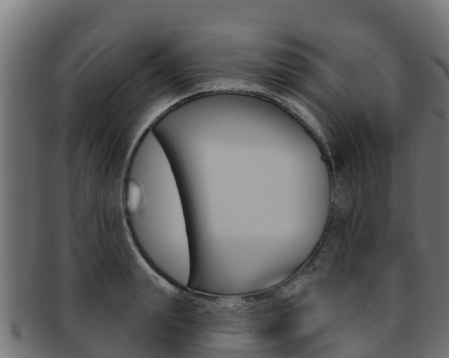 X0000092320847200709141049