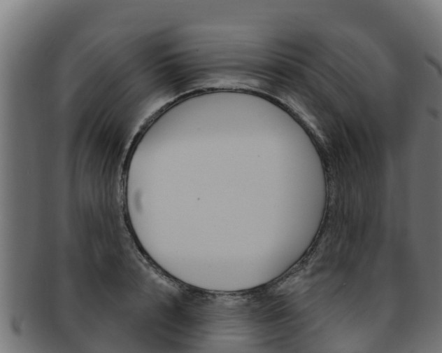 X0000092320848200709141049