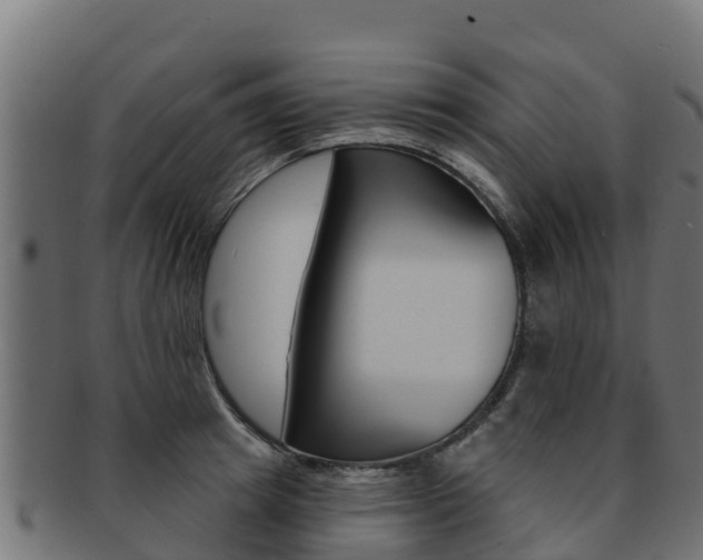 X0000092320849200709141049