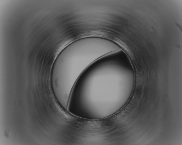 X0000092320850200709141049