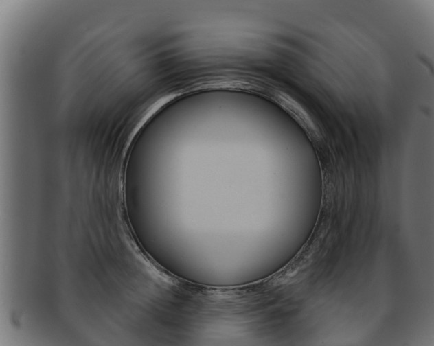 X0000092320852200709141049
