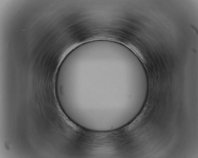 X0000092320854200709141049