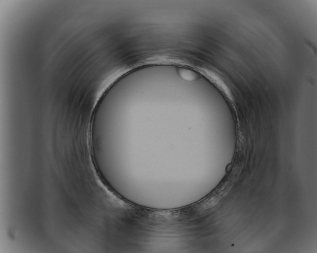 X0000092320855200709141049