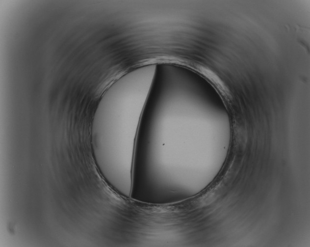 X0000092320857200709141049