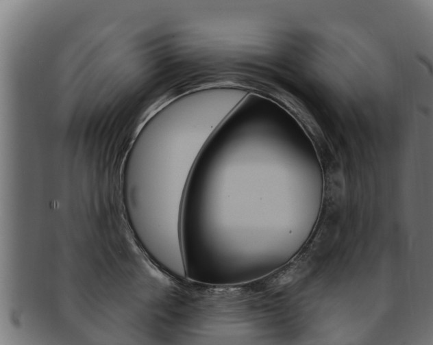 X0000092320858200709141049
