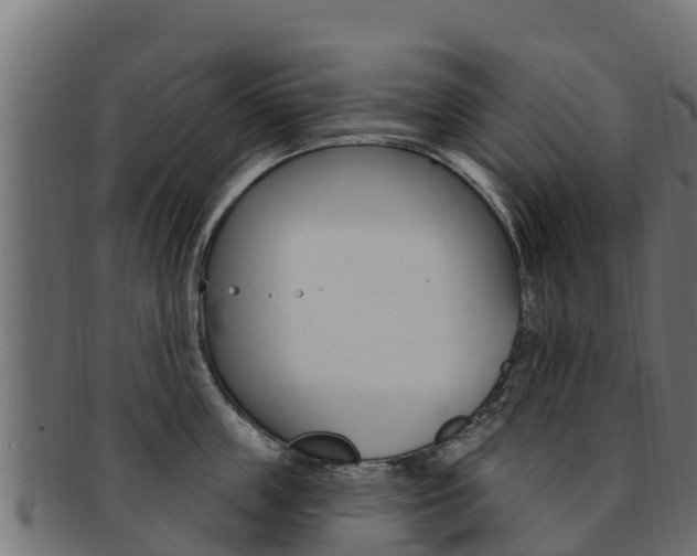 X0000092320859200709141049