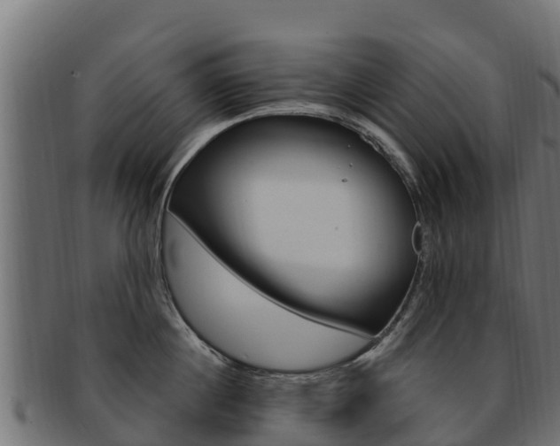 X0000092320860200709141049